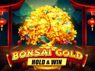 Bonsai Gold Hold & Win game thumbnail